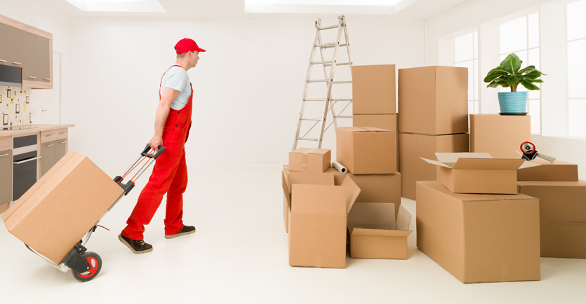 young man in red jump suit pulling furniture dolly with box kept on it
