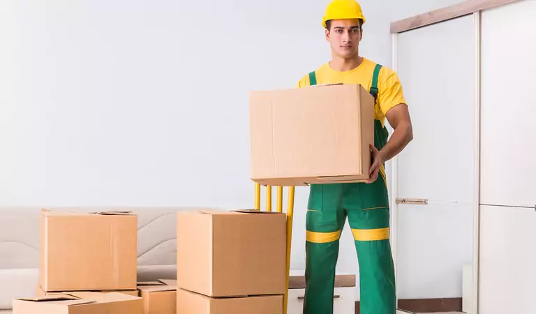 professional holding a box and ready for the job