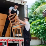 Professional Removalists